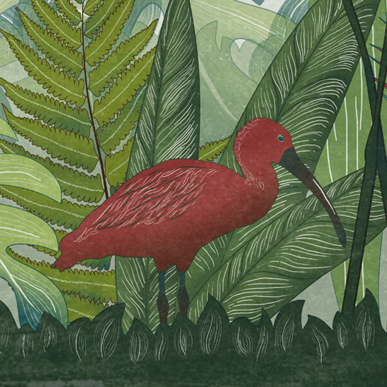 carta da parati per bambini tropicale verde con ibis