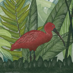 dettaglio della carta da parati per bambini tropicale verde con un ibis